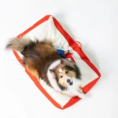 DC Superman hondenmatras