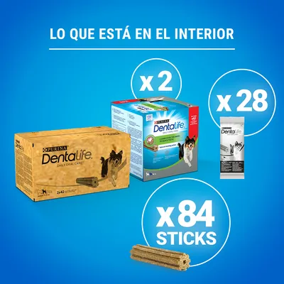 Contenido del pack Purina Dentalife Daily Oral Care: 2 cajas, 28 sobres individuales y 84 sticks dentales para perros. Texto visible: 'Lo que está en el interior'.