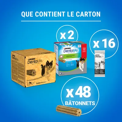 Contenu du carton : 2 boîtes Purina Dentalife, 16 sachets individuels, 48 bâtonnets visibles. Texte : Que contient le carton. Marques et quantités clairement indiquées.