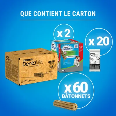 Contenu du carton : 2 boîtes Purina Dentalife, 20 sachets individuels Dentalife, 60 bâtonnets visibles. Texte : « Que contient le carton » et quantités indiquées sur l’image.