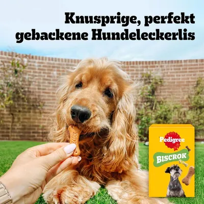 Pedigree Biscrok in 3 köstlichen Geschmacksrichtungen