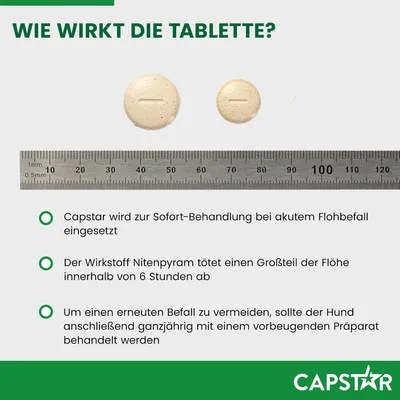 Capstar Tabletten zur Sofort-Behandlung bei Flohbefall. Wirkstoff Nitenpyram tötet Flöhe innerhalb von 6 Stunden. Empfehlung: ganzjährige vorbeugende Behandlung nach Anwendung.