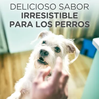 Texto visible: 'Delicioso sabor irresistible para los perros'. Perro blanco mirando una mano humana que sostiene algo frente a él.