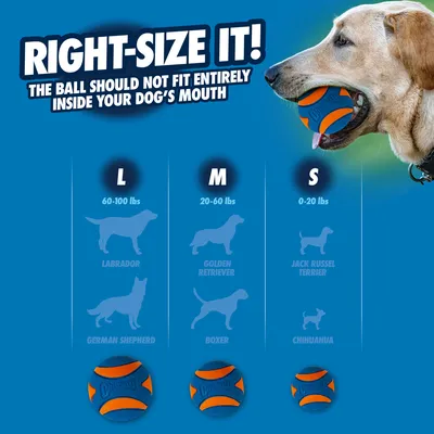 Size chart for dog balls: L for Labrador and German Shepherd (60-100 lbs), M for Retriever and Boxer (20-60 lbs), S for Jack Russell and Chihuahua (0-20 lbs). Ball must not fit entirely in mouth.