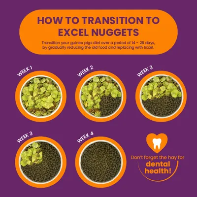 Transition to Excel Nuggets over 4 weeks: Gradually replace old food with Excel. Note: Don’t forget hay for dental health.