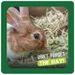 Burgess Excel Dried Fresh Grass Timothy Feeding Hay