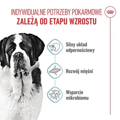 Grafika z tekstem: Silny układ odpornościowy, Rozwój mięśni, Wsparcie mikrobiomu. Nagłówek: Indywidualne potrzeby żywieniowe zależą od etapu wzrostu. Grafika z tekstem: Silny układ odpornościowy, Rozwój mięśni, Wsparcie mikrobiomu. Nagłówek: Indywidualne potrzeby żywieniowe zależą od etapu wzrostu.