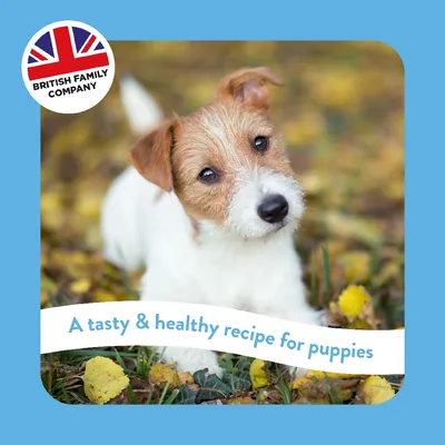 British Family Company. A tasty & healthy recipe for puppies.