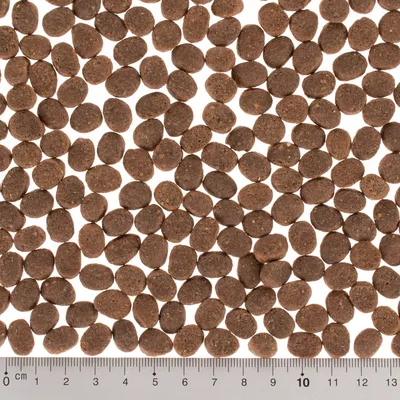Croquettes marron foncé disposées sur fond blanc, règle en centimètres visible en bas indiquant la taille des croquettes de 0 à 12 cm.