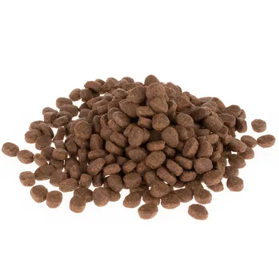 Croquettes marron en forme de petits disques, présentées en tas sur fond blanc. Aucun emballage ou marque visible.