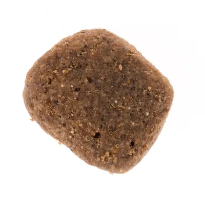 Yksi ruskea, nelikulmainen koiranruokanappula lähikuvassa, ei näkyvää merkkiä tai tekstiä