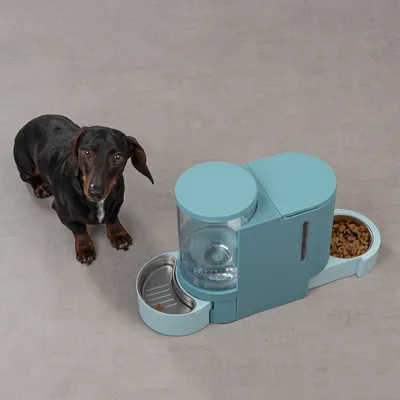 Automatischer Futterspender in Blau mit Edelstahl-Napf und Trockenfutterbehälter. Hund sitzt daneben auf grauem Boden.