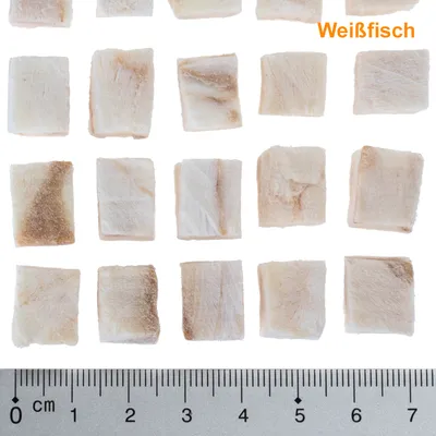 Kocke belega ribjega mesa, razporejene v vrstah ob merilu v centimetrih. Vidno besedilo: 'Weißfisch' (v nemščini).