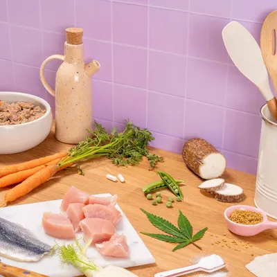 Pooch and Mutt Health & Digestion Wet Dog Food Pooch and Mutt Health & Digestion Wet Dog Food