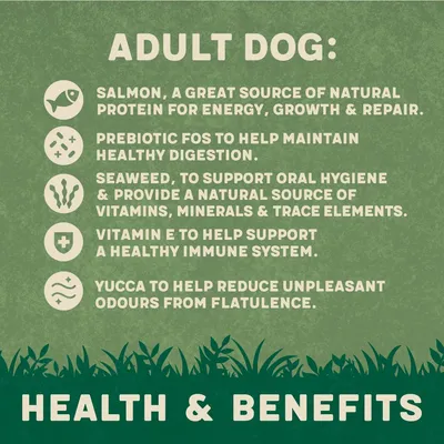 Adult dog food benefits: salmon for protein, prebiotic FOS for digestion, seaweed for oral hygiene and nutrients, vitamin E for immune system, yucca to reduce flatulence odours.