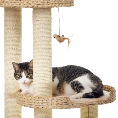 Arbre à chat en sisal avec plateforme tressée, jouet suspendu en forme de souris et chat allongé sur la plateforme. Aucun nom de marque visible.