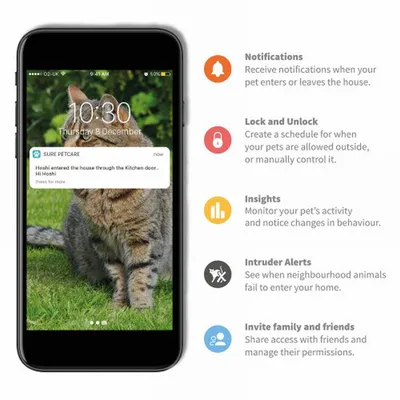 Image shows a phone with pet entry notification and lists features: notifications, lock and unlock schedules, activity insights, intruder alerts, and sharing access with family or friends.