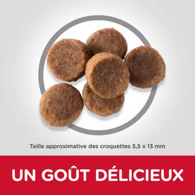 Taille approximative des croquettes 5,5 × 13 mm. Texte : UN GOÛT DÉLICIEUX.