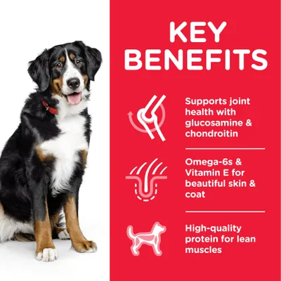 Teksti englanniksi: Key benefits. Supports joint health with glucosamine & chondroitin, Omega-6s & Vitamin E for beautiful skin & coat, High-quality protein for lean muscles.