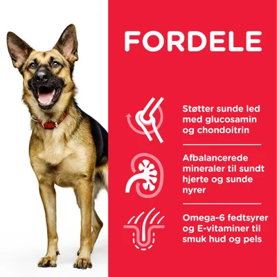 Fordele: Støtter sunde led med glucosamin og chondroitin, afbalancerede mineraler til sundt hjerte og sunde nyrer, omega-6 fedtsyrer og E-vitaminer til smuk hud og pels.