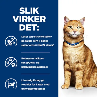 Hill's Prescription Diet c/d Multicare Urinary Care kattefôr med kylling