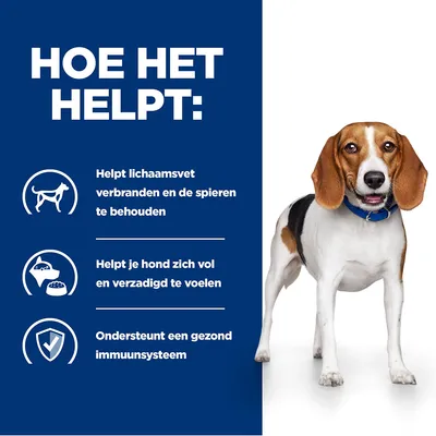 Hoe het helpt: Helpt lichaamsvet verbranden en spieren behouden, helpt je hond zich vol te voelen, ondersteunt een gezond immuunsysteem. Hond zichtbaar rechts in beeld.
