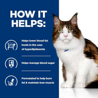 How it helps: lowers blood fat in hyperlipidaemia, manages blood sugar, formulated to burn fat and maintain lean muscle.
