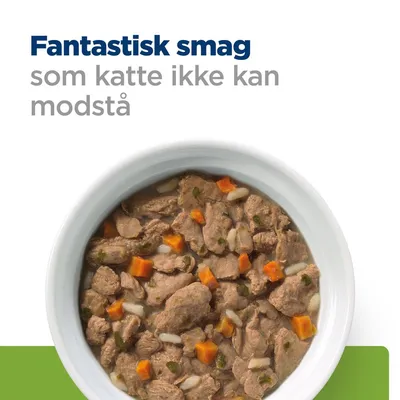 Fantastisk smag som katte ikke kan modstå. Skål med vådfoder til kat, synlige kød- og grøntsagsstykker.