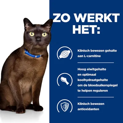 ZO WERKT HET: Klinisch bewezen gehalte aan L-carnitine, hoog eiwitgehalte en optimaal koolhydraatgehalte, klinisch bewezen antioxidanten. Tekst in het Nederlands.