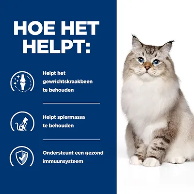 Hoe het helpt: Helpt het gewrichtskraakbeen te behouden, helpt spiermassa te behouden, ondersteunt een gezond immuunsysteem. Afbeelding van een kat rechts.