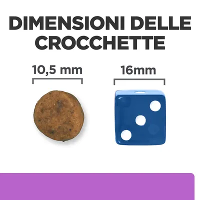 Dimensioni delle crocchette: diametro 10,5 mm a confronto con un dado blu da 16 mm. Testo visibile: 'DIMENSIONI DELLE CROCCHETTE', '10,5 mm', '16 mm'.