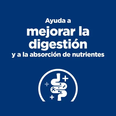 Ayuda a mejorar la digestión y a la absorción de nutrientes.