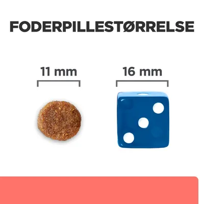 Foderpillestørrelse: foderpille 11 mm ved siden af blå terning 16 mm. Sammenligning af størrelser for bedre overblik ved køb.