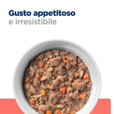 Gusto appetitoso e irresistibile. Ciotola bianca con bocconcini di cibo umido per animali, visibili pezzi di carne, carote e verdure.