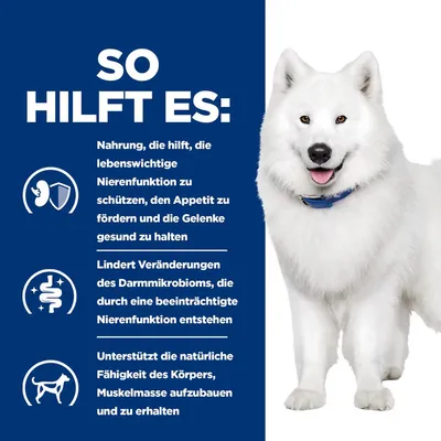 So hilft es: Nahrung schützt Nierenfunktion, fördert Appetit, hält Gelenke gesund. Lindert Darmmikrobiom-Veränderungen. Unterstützt Muskelaufbau und -erhalt.