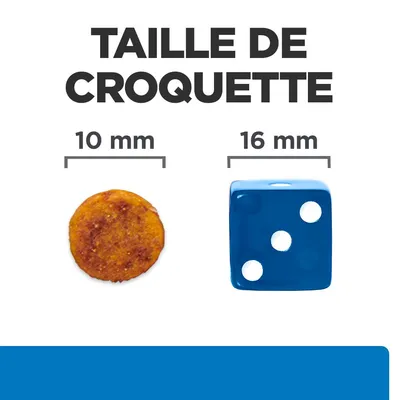 Taille de croquette : comparaison visuelle entre une croquette ronde de 10 mm et un dé bleu de 16 mm, texte inclus « TAILLE DE CROQUETTE »