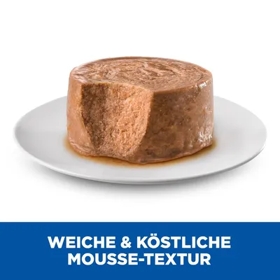 Weiche und köstliche Mousse-Textur, präsentiert auf einem weissen Teller.