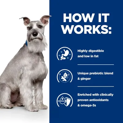 Tekst na engleskom: HOW IT WORKS: Highly digestible and low in fat, Unique prebiotic blend & ginger, Enriched with clinically proven antioxidants & omega-3s. Sivi pas sjedi lijevo.