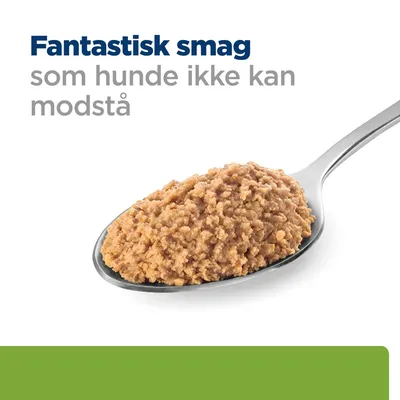 Fantastisk smag som hunde ikke kan modstå, tekst over en ske med vådfoder til hunde