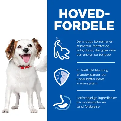 HOVEDFORDELE: Den rigtige kombination af protein, fedtstof og kulhydrater; kraftfuld blanding af antioxidanter; letfordøjelige ingredienser. Hund med rød halsbånd til venstre.