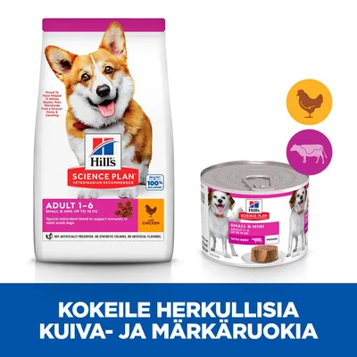 Hill's Science Plan Adult 1–6 Small & Mini -kuivaruoka kanalla ja märkäruoka naudalla pienille koirille. Teksti: Kokeile herkullisia kuiva- ja märkäruokia.