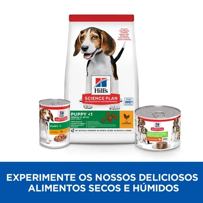 Hill's Science Plan Puppy <1 Medium 11–25 kg frango, embalagem de ração seca e duas latas de alimento húmido. Texto: Experimente os nossos deliciosos alimentos secos e húmidos.