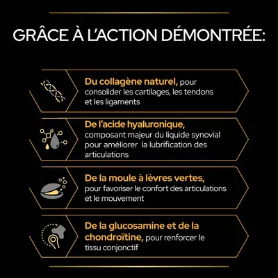 Grâce à l’action démontrée : collagène naturel, acide hyaluronique, moule à lèvres vertes, glucosamine et chondroïtine, avec explications sur leurs bienfaits pour les articulations.