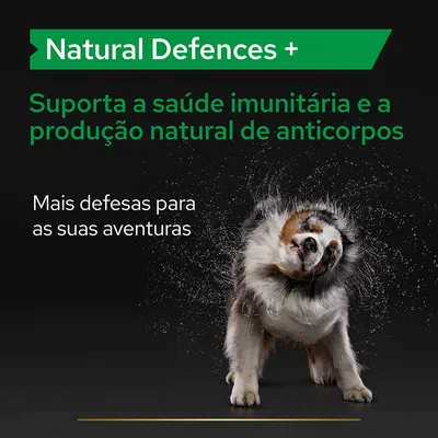 Natural Defences +. Suporta a saúde imunitária e a produção natural de anticorpos. Mais defesas para as suas aventuras.