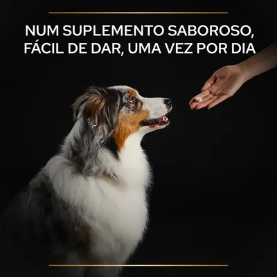Texto: Num suplemento saboroso, fácil de dar, uma vez por dia. Cão a olhar para uma mão que segura um comprimido.