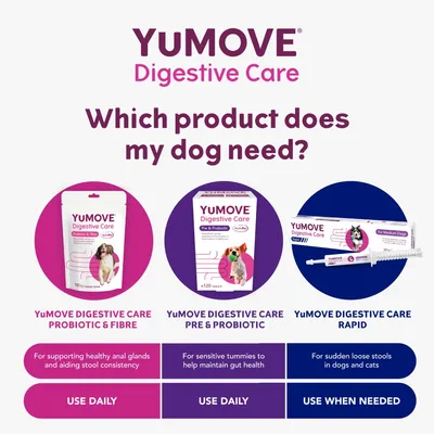 YuMOVE Digestive Care range for dogs: Probiotic & Fibre, Pre & Probiotic, Rapid. Info on use: daily or when needed. Text includes product names and usage guidance.