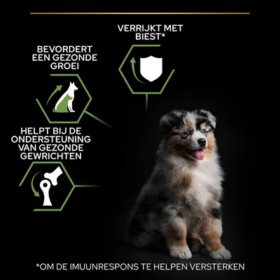 Bevordert een gezonde groei, helpt bij de ondersteuning van gezonde gewrichten, verrijkt met biest*; *om de immuunrespons te helpen versterken. Afbeelding van een puppy.