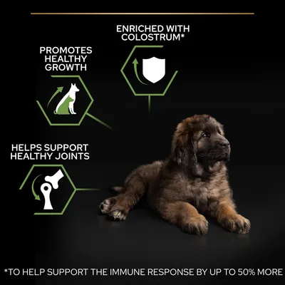 Tekst: Promotes healthy growth, Helps support healthy joints, Enriched with colostrum. Afbeelding van een puppy op zwarte achtergrond. Engelse tekst onderaan: To help support the immune response by up to 50% more.