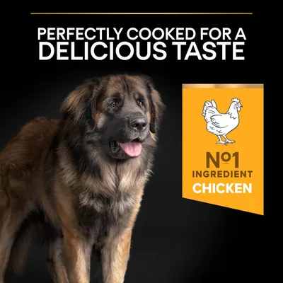 PURINA PRO PLAN Large Robust Adult Everyday Nutrition