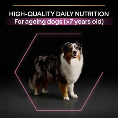 HIGH-QUALITY DAILY NUTRITION. For ageing dogs (>7 years old). Κείμενο στα αγγλικά με εικόνα σκύλου σε μαύρο φόντο.